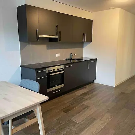 Proche Lausanne: Studio Bien Equipe