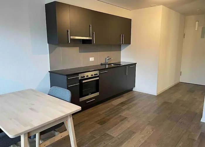 Proche Lausanne: Studio Bien Equipe