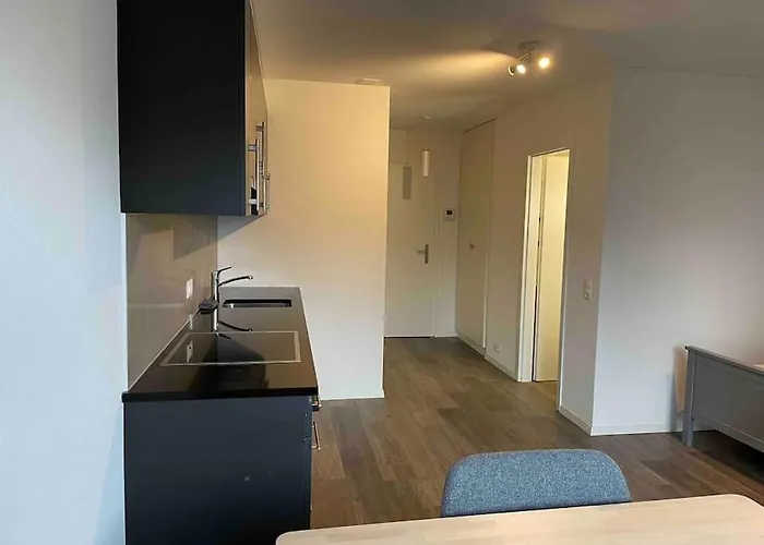 Proche Lausanne: Studio Bien Equipe