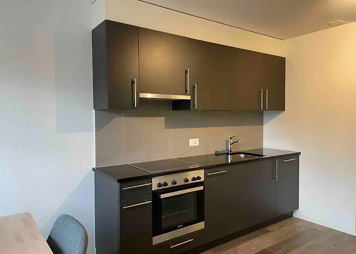 Proche Lausanne: Studio Bien Equipe Apartman