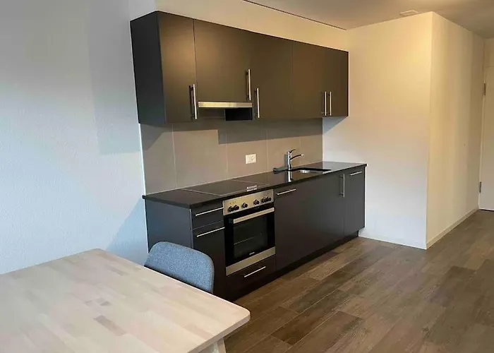 Proche Lausanne: Studio Bien Equipe Prilly